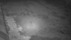 Nástup na běžecké tratě