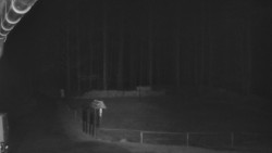 Nástup na běžecké tratě