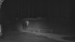 Nástup na běžecké tratě