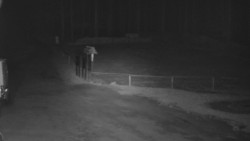 Nástup na běžecké tratě