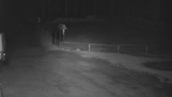 Nástup na běžecké tratě