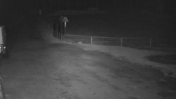 Nástup na běžecké tratě