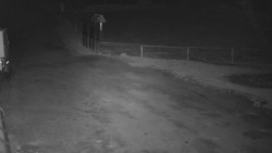 Nástup na běžecké tratě