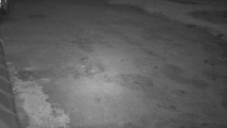 Nástup na běžecké tratě