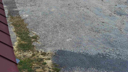 Nástup na běžecké tratě