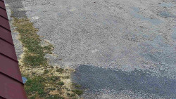 Nástup na běžecké tratě