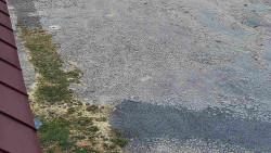 Nástup na běžecké tratě