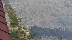 Nástup na běžecké tratě