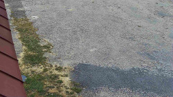 Nástup na běžecké tratě