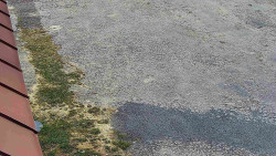 Nástup na běžecké tratě