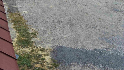 Nástup na běžecké tratě