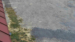 Nástup na běžecké tratě