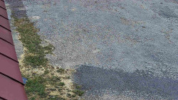 Nástup na běžecké tratě