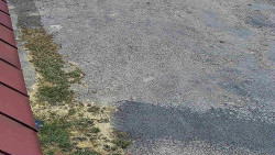 Nástup na běžecké tratě