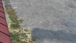 Nástup na běžecké tratě