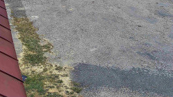 Nástup na běžecké tratě