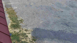 Nástup na běžecké tratě