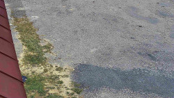 Nástup na běžecké tratě