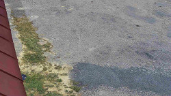 Nástup na běžecké tratě