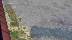 Nástup na běžecké tratě