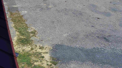 Nástup na běžecké tratě