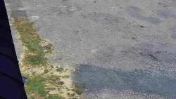 Nástup na běžecké tratě