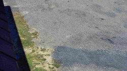 Nástup na běžecké tratě