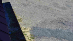 Nástup na běžecké tratě