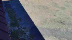 Nástup na běžecké tratě