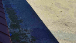 Nástup na běžecké tratě