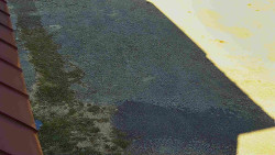 Nástup na běžecké tratě