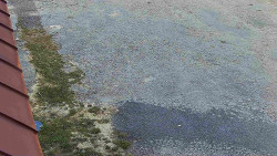 Nástup na běžecké tratě