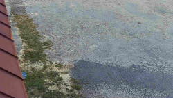 Nástup na běžecké tratě