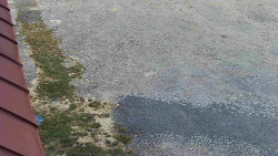 Nástup na běžecké tratě