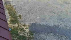 Nástup na běžecké tratě