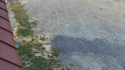 Nástup na běžecké tratě