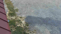 Nástup na běžecké tratě