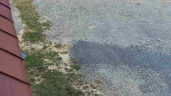 Nástup na běžecké tratě