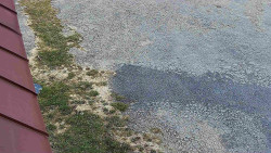 Nástup na běžecké tratě