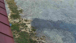 Nástup na běžecké tratě