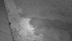 Nástup na běžecké tratě