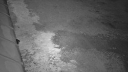 Nástup na běžecké tratě