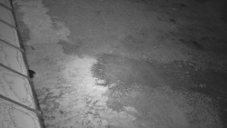 Nástup na běžecké tratě