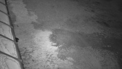 Nástup na běžecké tratě