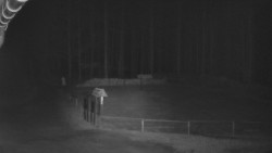 Nástup na běžecké tratě