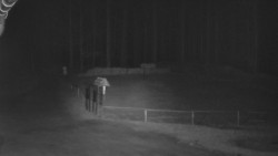 Nástup na běžecké tratě