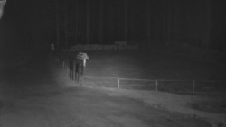 Nástup na běžecké tratě