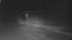 Nástup na běžecké tratě