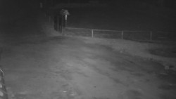 Nástup na běžecké tratě