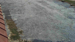 Nástup na běžecké tratě